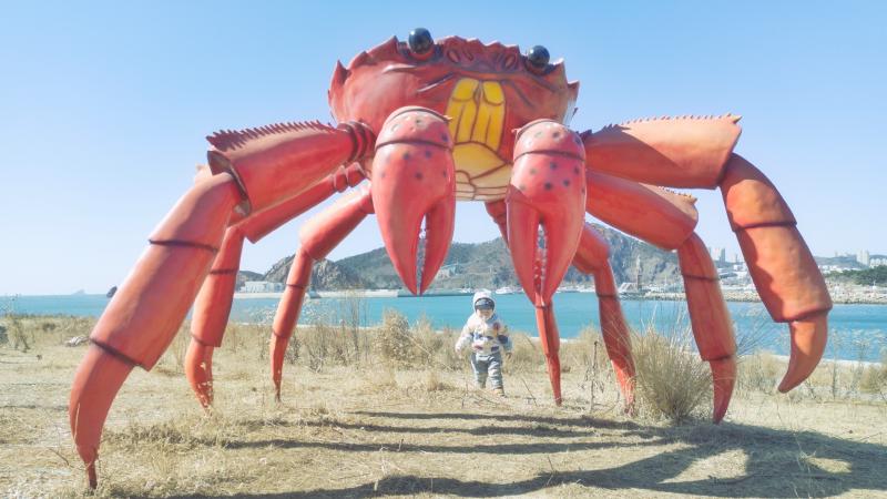 20220305_little_one_giant_crab_1.jpg