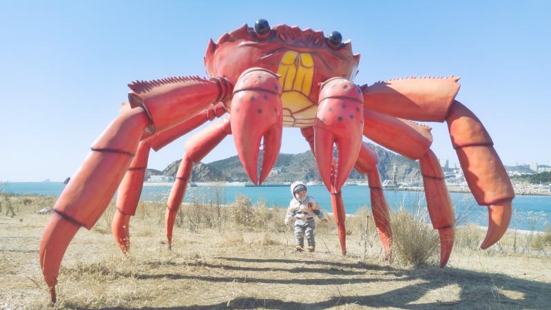 20220305_little_one_giant_crab_2.jpg