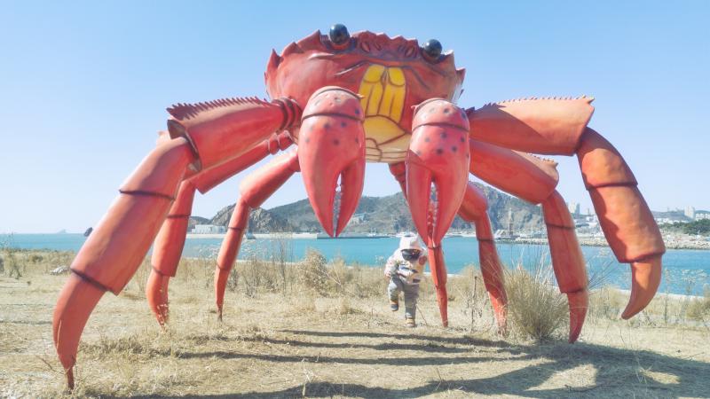 20220305_little_one_giant_crab_3.jpg